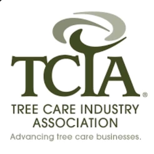 TCIA Member