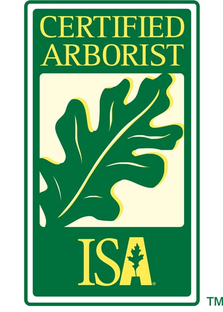 ISA Certified Arborist (FL-6712A)